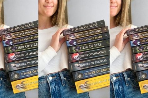 book series to read