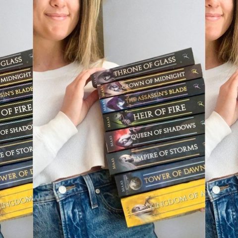 book series to read